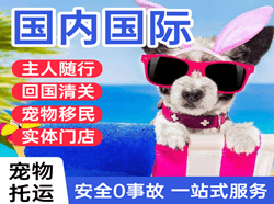 龙湾空运代理国际宠物托运 【国